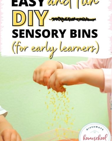 sensory bin