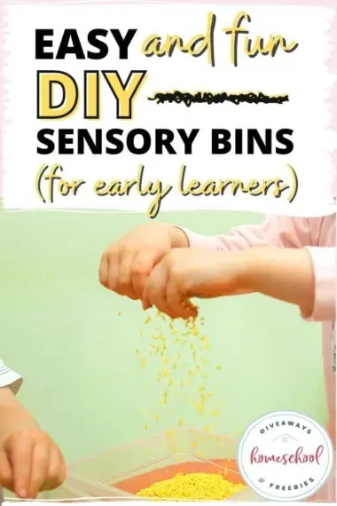 Easy and Fun DIY Sensory Bins for Early Learners