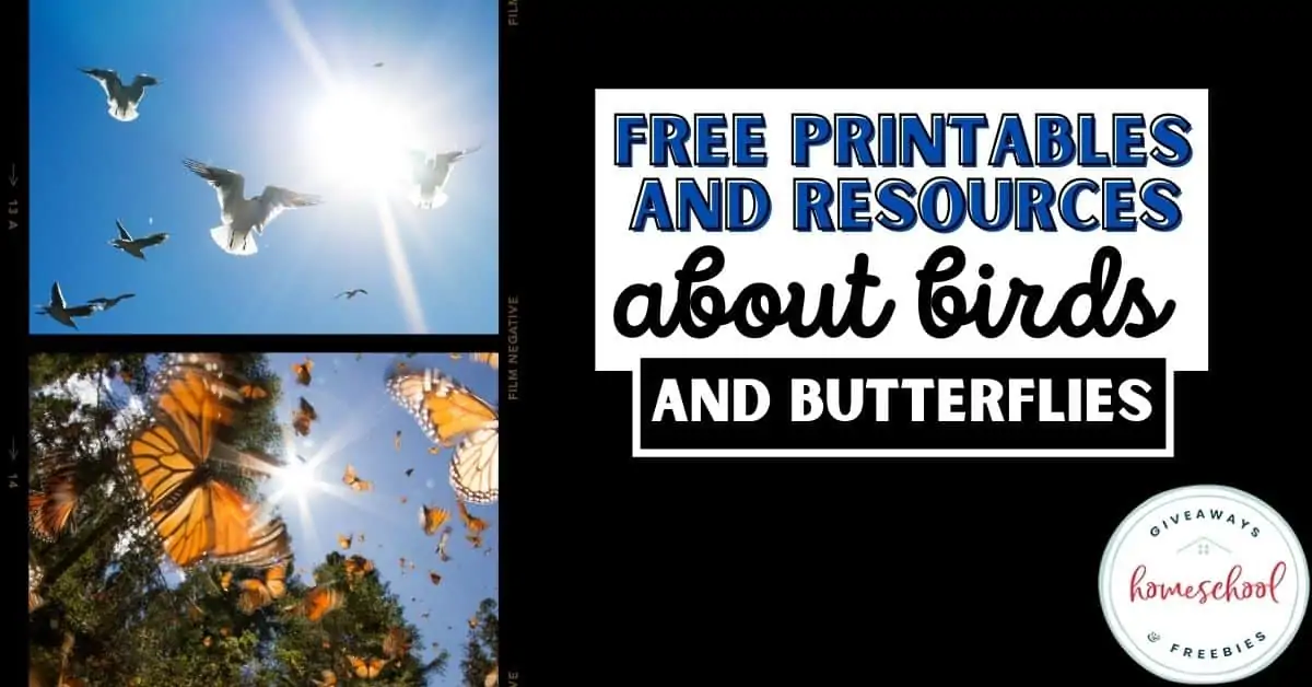 FREE Printables and Resources About Birds and Butterflies