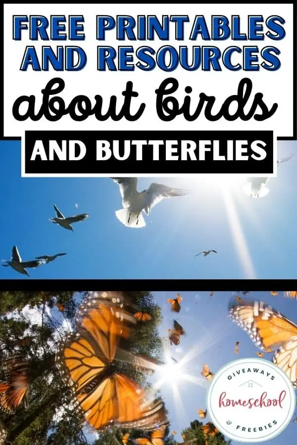 Free Printables and Recourses about Birds and Butterflies text with images of birds and butterflies flying outside