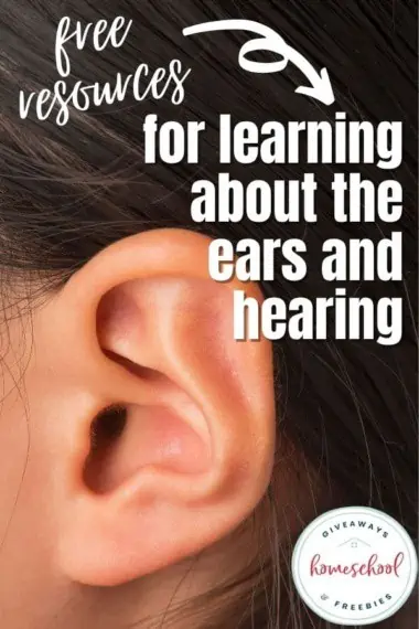 FREE Resources for Learning About the Ears and Hearing text with image of a person's ear up close