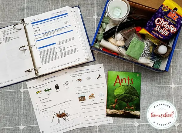 Ant study book open and crafts for kids