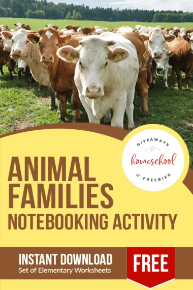Animal Families Notebooking Activity text with image of a field of cows together