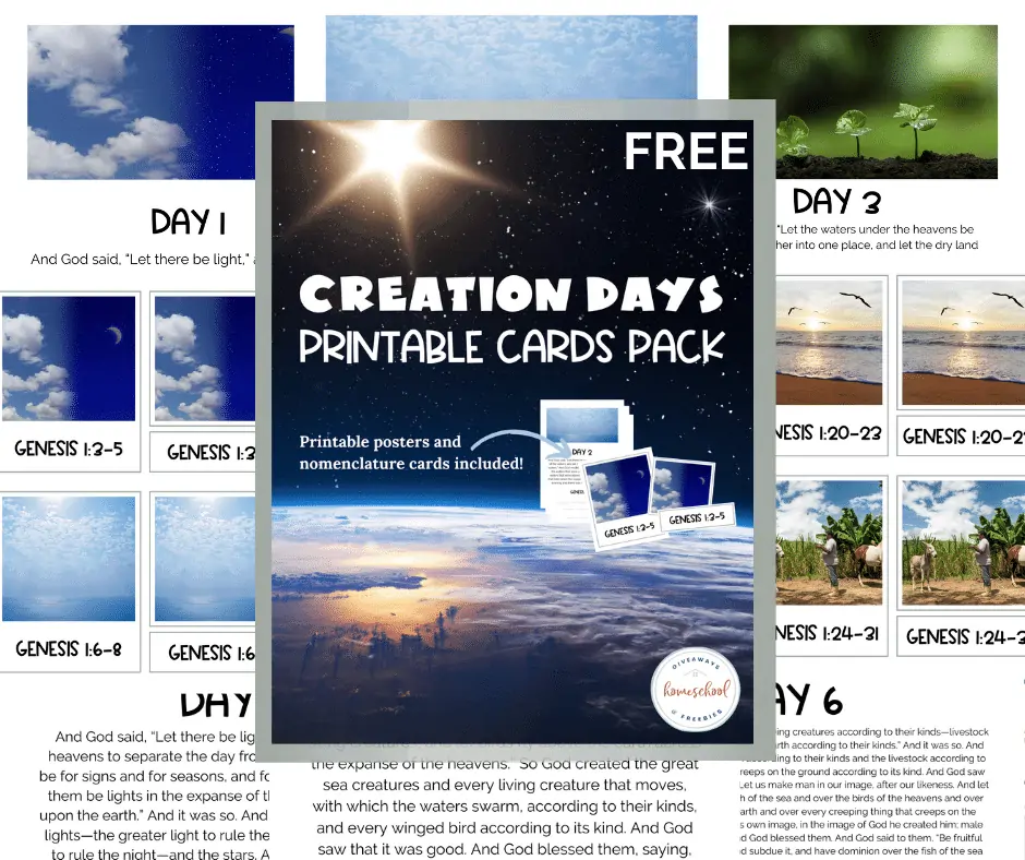 Creation Days Printable Cards Pack text with image examples