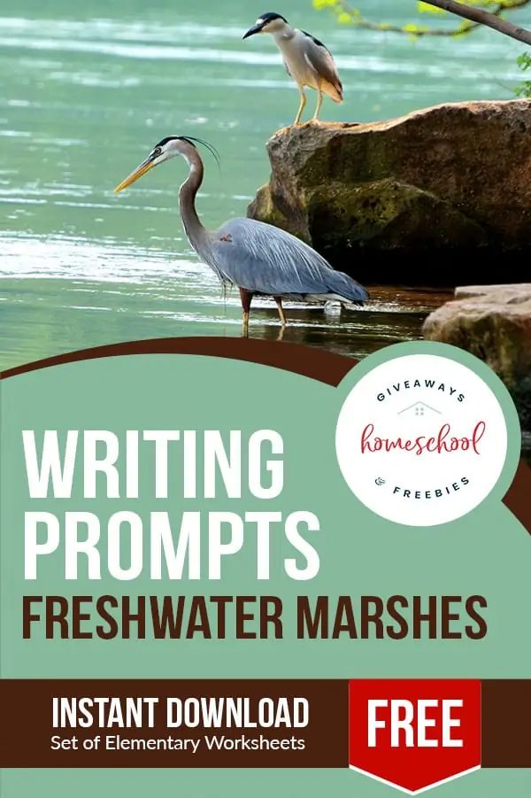 Writing Prompts Freshwater Marshes text with image of a bird standing outside by the ocean