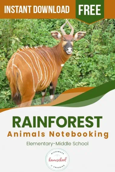 Rainforest Animals Notebooking text and image of an animal standing outside
