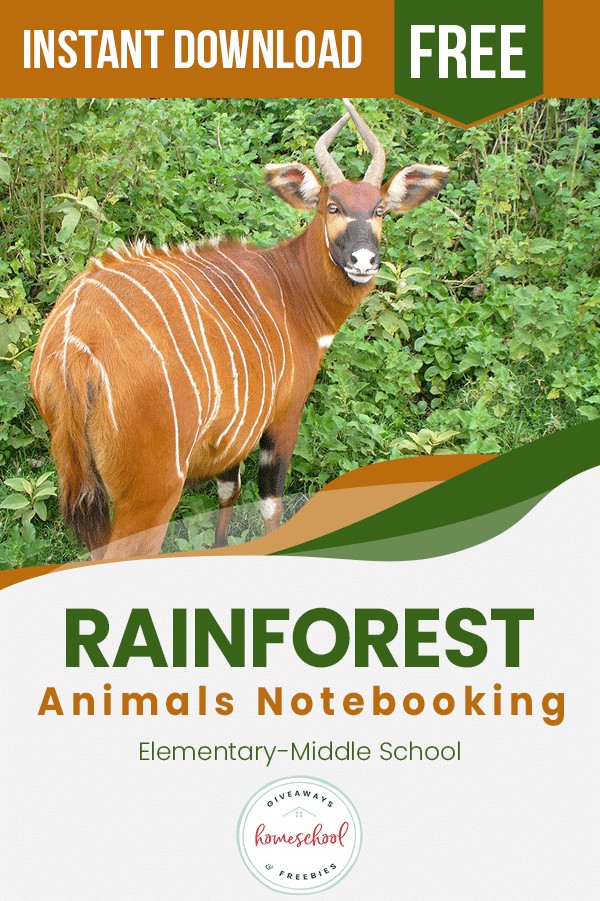 Rainforest Animals Notebooking text and image of an animal standing outside