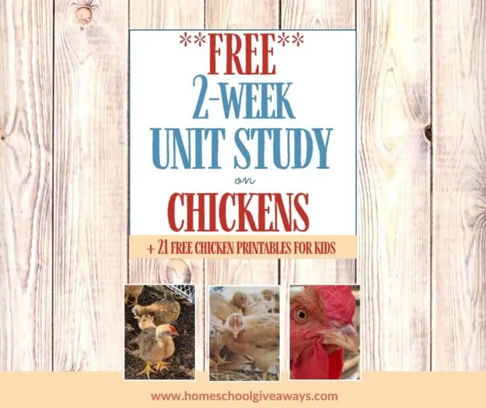Free 2-week unit study on chickens text overlay on images of chicks in a run.