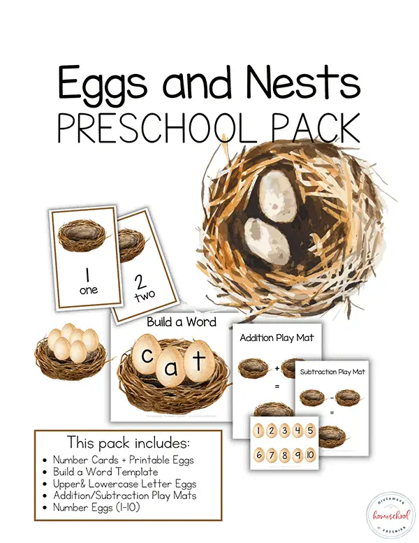 illustrated different examples of Eggs and Nests Preschool Pack of worksheets 