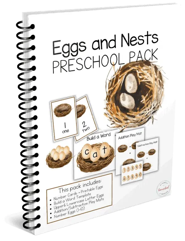 Eggs and Nests Preschool Pack workbook cover with a white background behind book