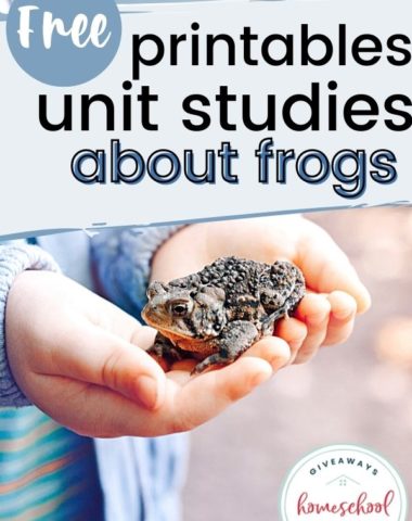 Free Printables and Unit Studies About Frogs. #frogunitstudy #FROG #frogprintables #froglifecycle