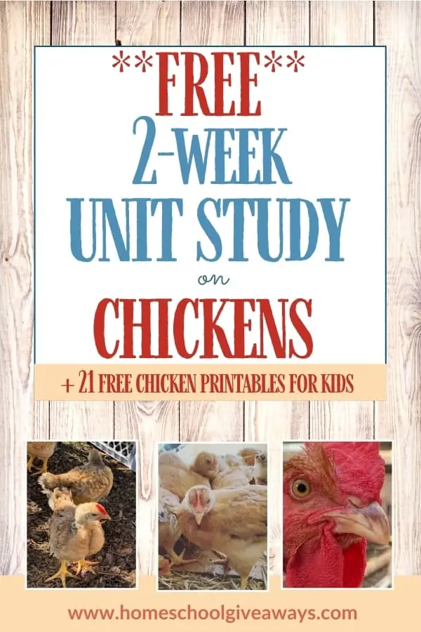 Free 2-Week Chicken Unit Study
