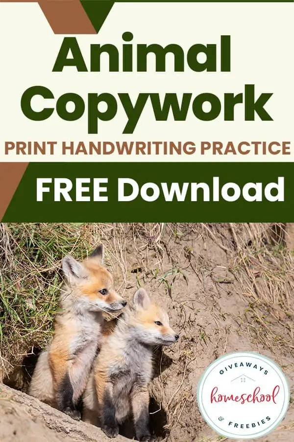 Animal Copywork Print Handwriting Practice Free Download text with image of two foxes standing outside