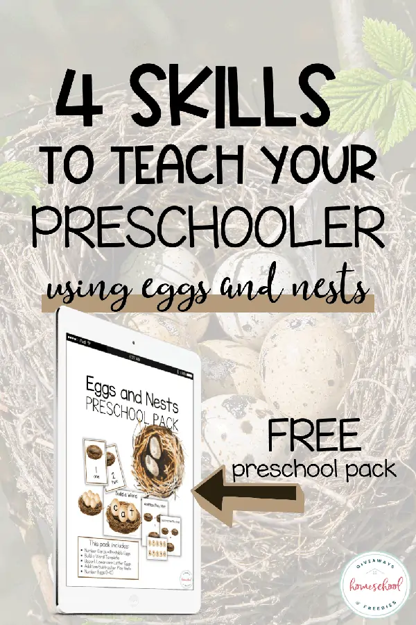 4 Skills to Teach Your Preschooler Using Eggs and Nests text with a faded birds nest and eggs background