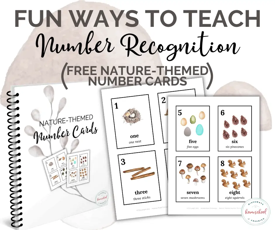 Fun Ways to Teach Number Recognition text with illustrated images of cards shown as an example