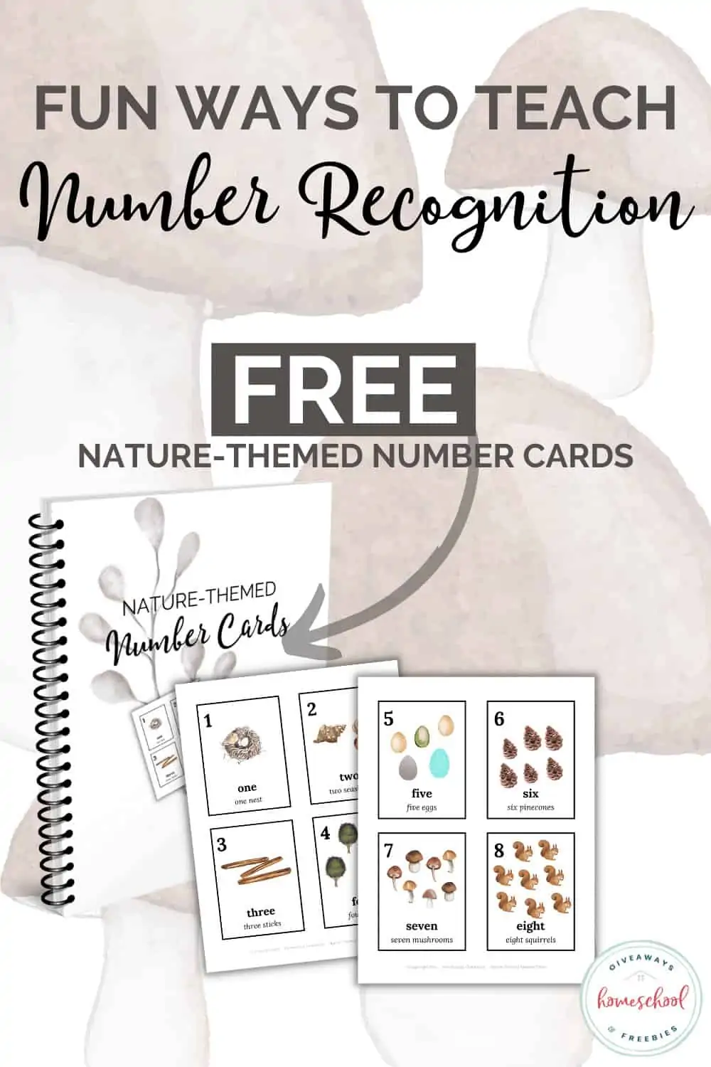 Fun Ways to Teach Number Recognition text with example of workbook and cards