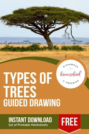 an image of a singular huge tree in the middle of no where outside with text Types of Trees Guided Drawing