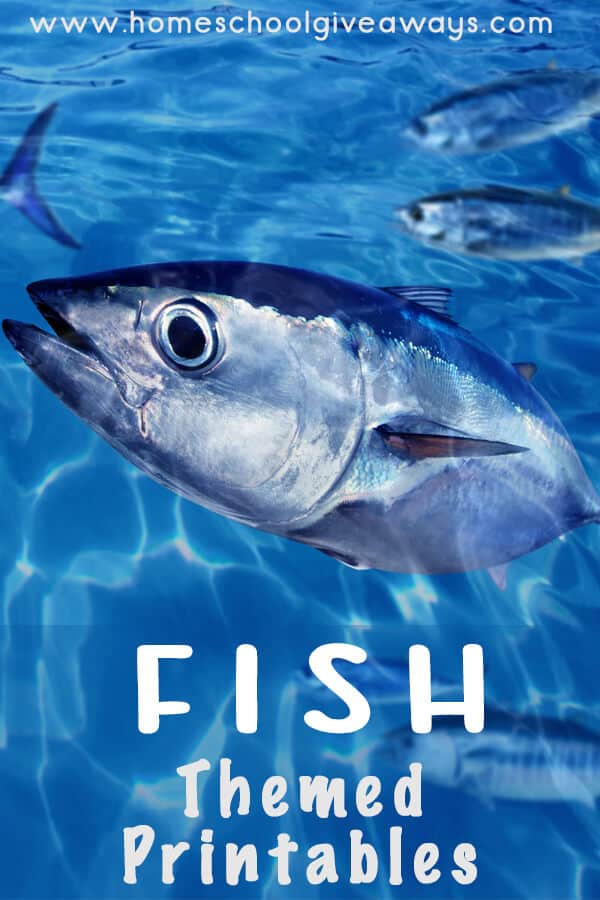 A fish swimming under water