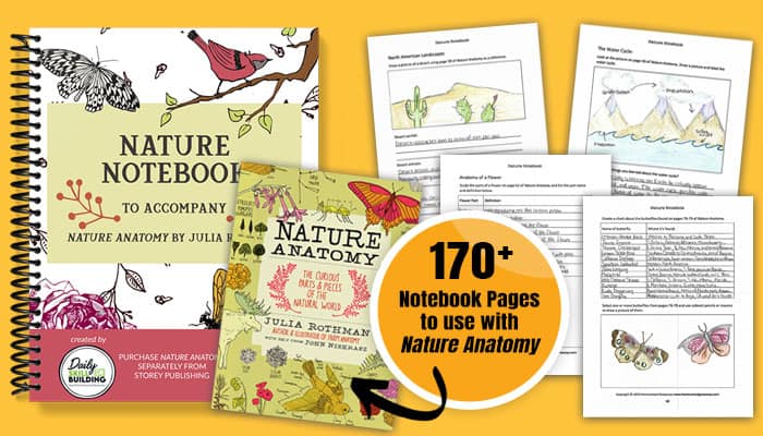 Nature Notebook and Nature Anatomy with notebooking pages