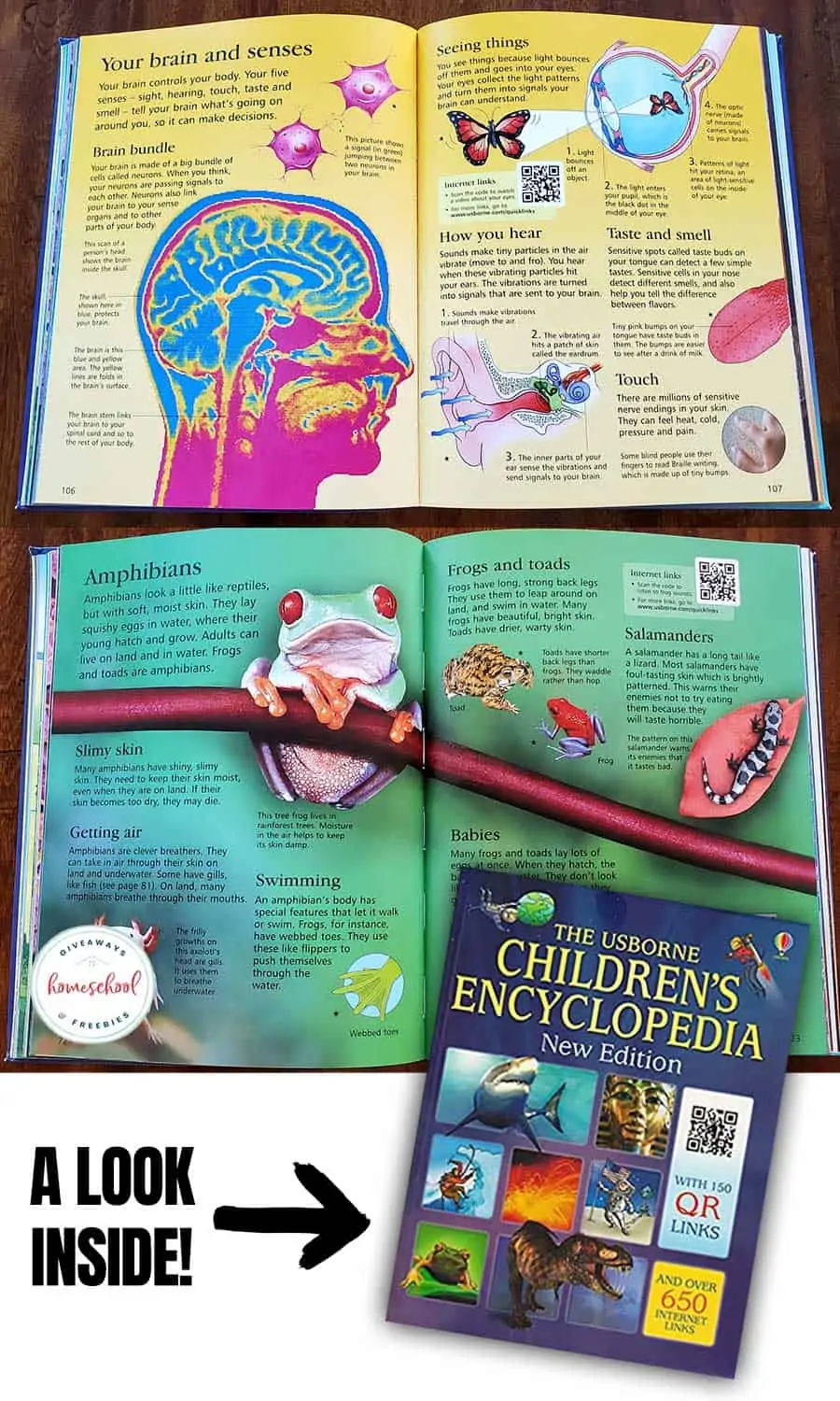 The Usborne Children's Encyclopedia with pictures of the inside of the book.