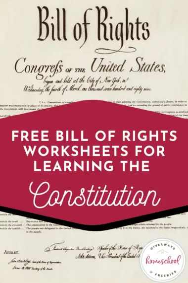 Bill of Rights worksheets