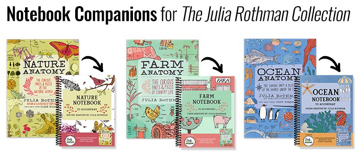 Julia Rothman Books and Notebook Companions