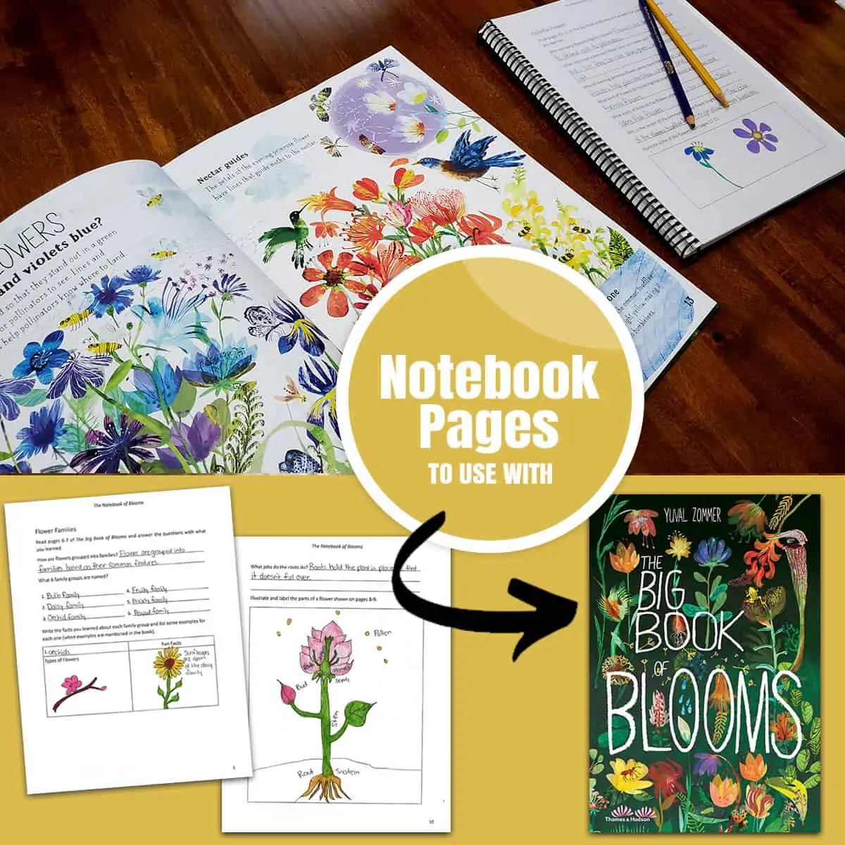 Notebook Pages to use with The Big Book of Blooms