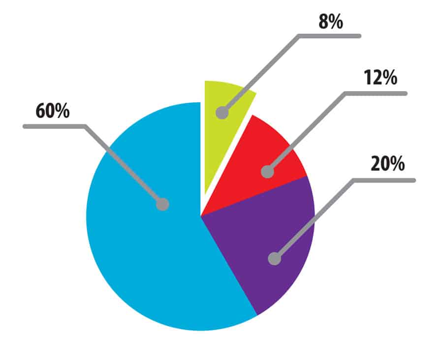 pie chart example