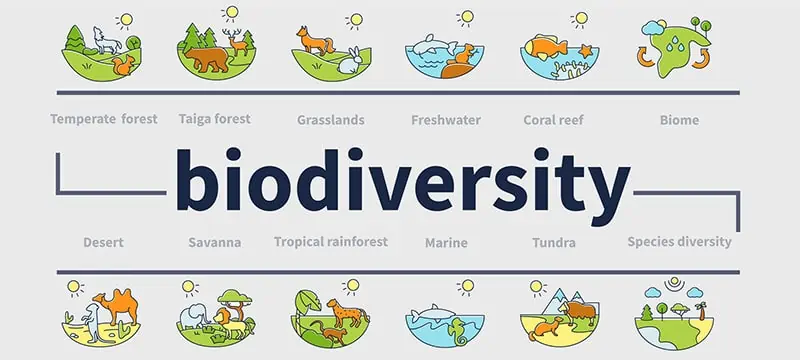 Biodiversity of Biomes