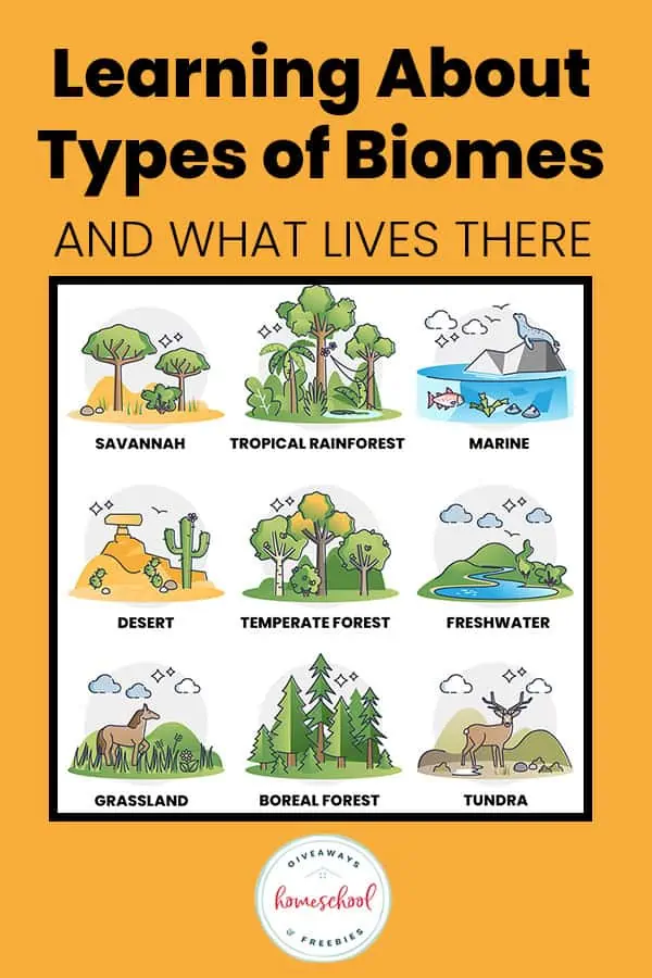 Learning about types of biomes and what lives there. Graphics of different types of biomes