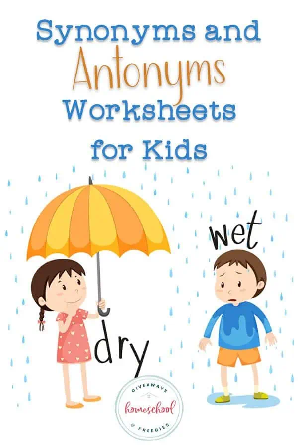 Writing Skills  Synonym & Antonym Lesson & Activities for Middle