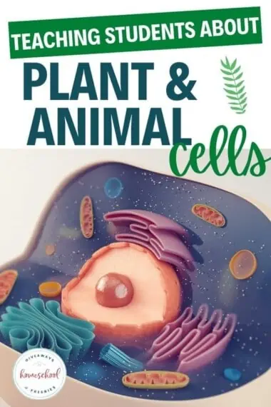 The title of this post is in text overlay, Teaching Students About Plant and Animal Cells, and th eimage isof a plant cell with all of its parts in a a colorful animated and clay-like image.