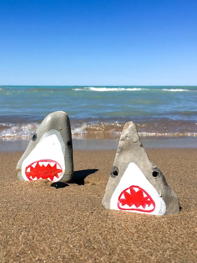 painted shark rocks on the beach