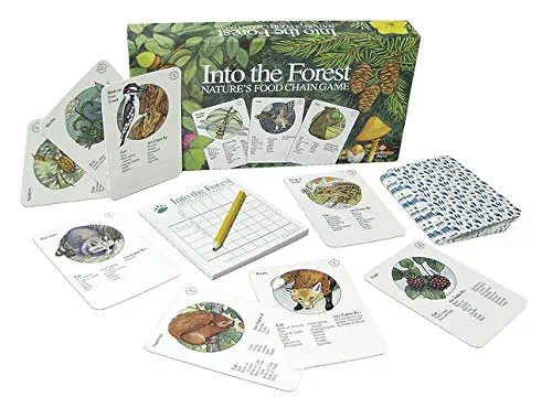 Into the Forest, Nature's Food Chain Game