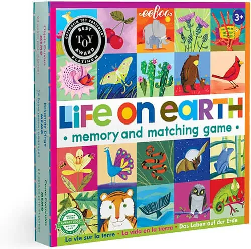 Life on Earth Memory and Matching Game