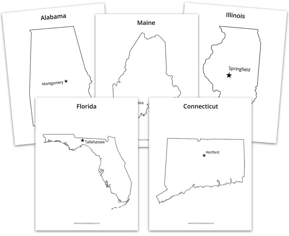 USA states shapes outlines