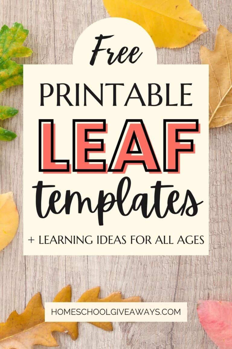 light wooden tabletop with different colored leaves and text overlay that says "Free printable leaf templates + learning ideas for all ages"