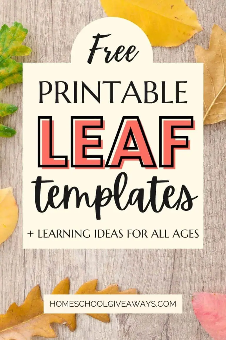 light wooden tabletop with different colored leaves and text overlay that says "Free printable leaf templates + learning ideas for all ages"