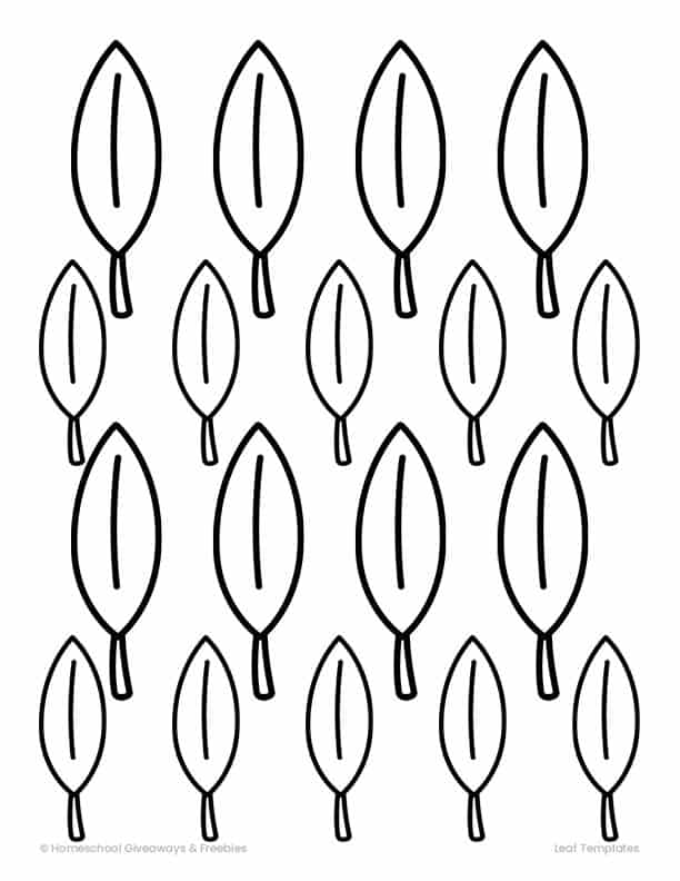 Printable Leaf Templates for Learning About Leaves