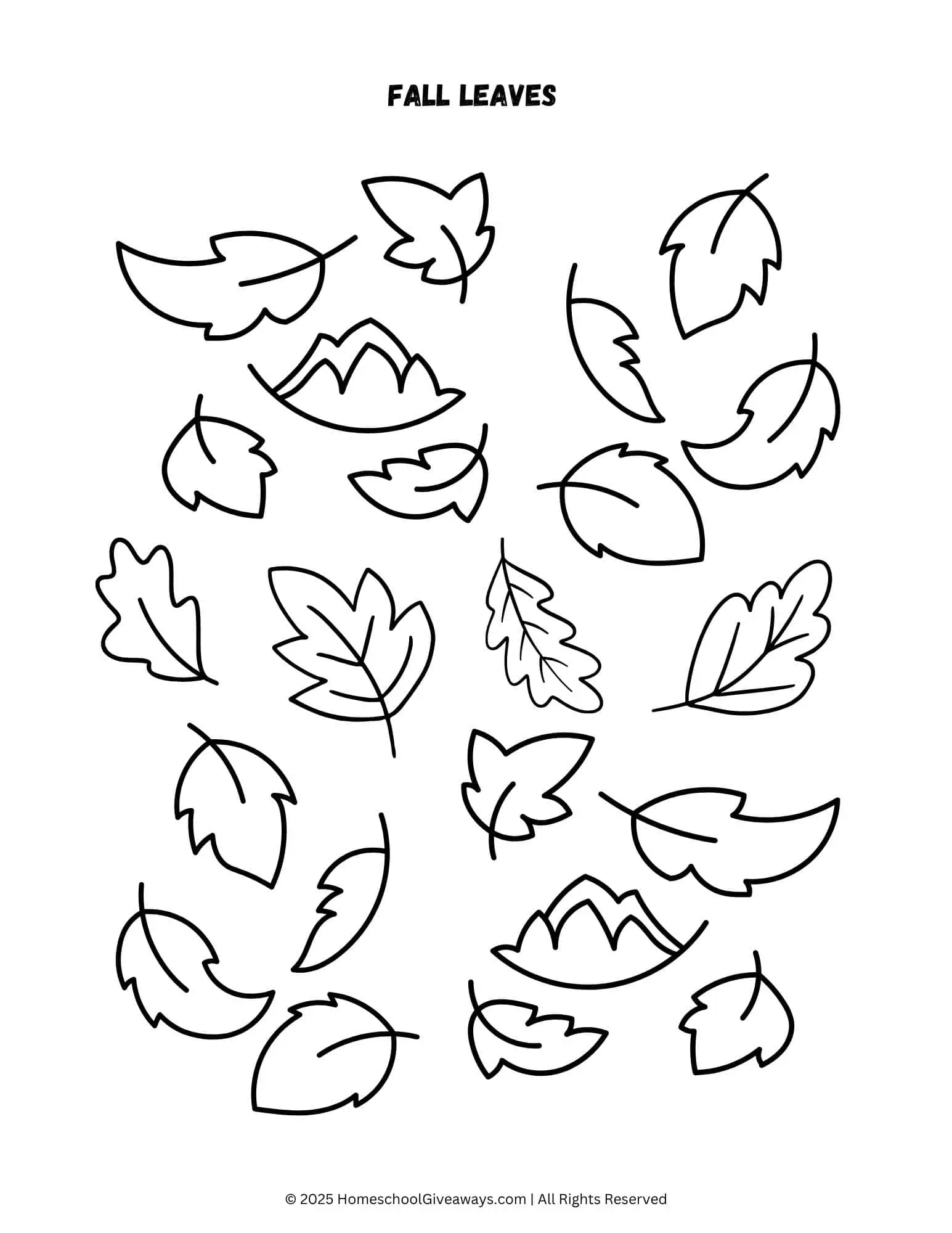 a variety of fall leaves to color and cut 
