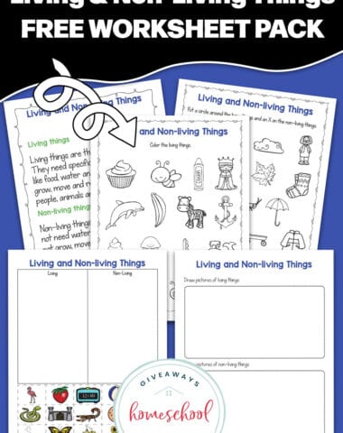 ligina nd non living things worksheets