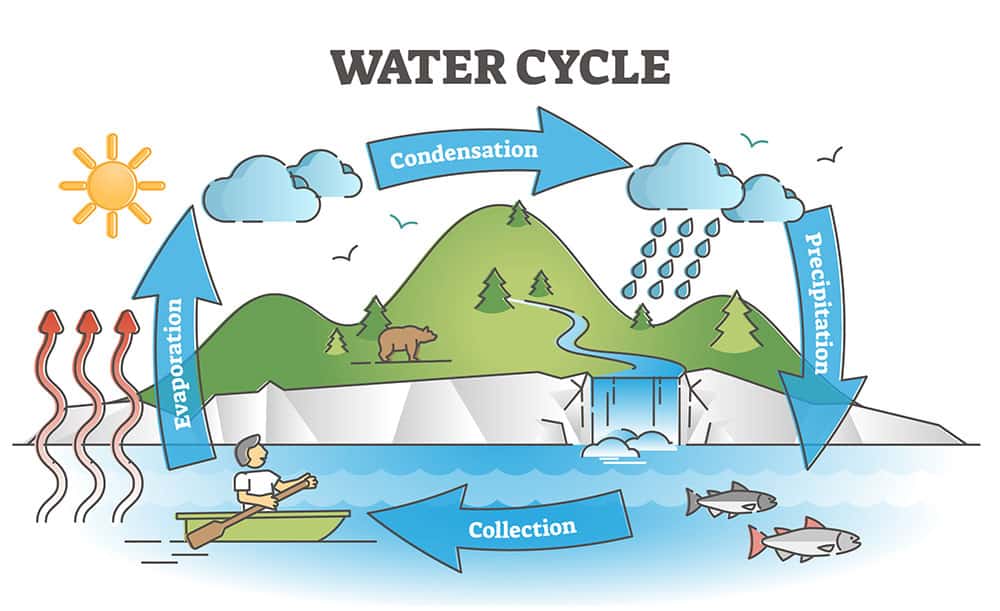 water cycle