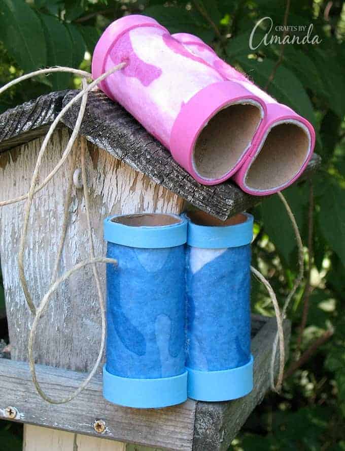toilet paper tube binoculars