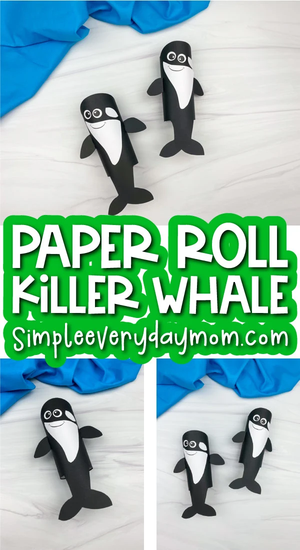 killer whale craft with toilet paper rolls