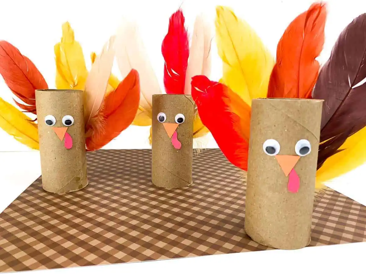 toilet paper roll turkey craft
