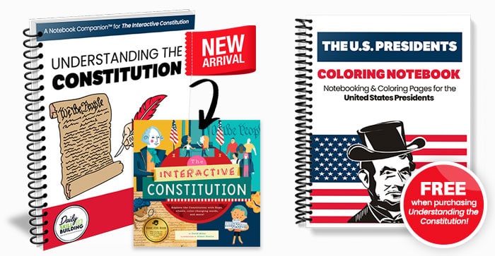 Understanding the Constitution Notebook Companion™