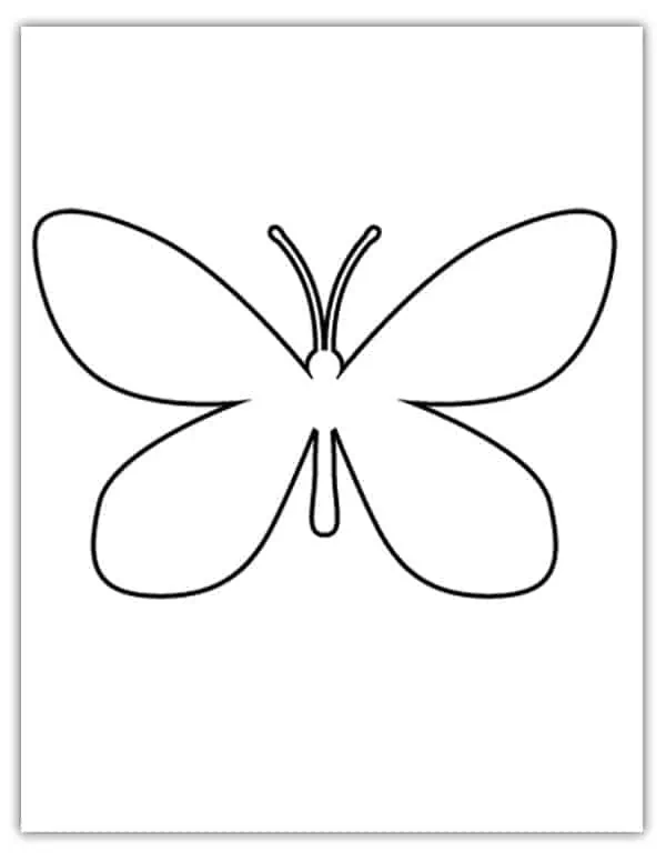butterfly shape