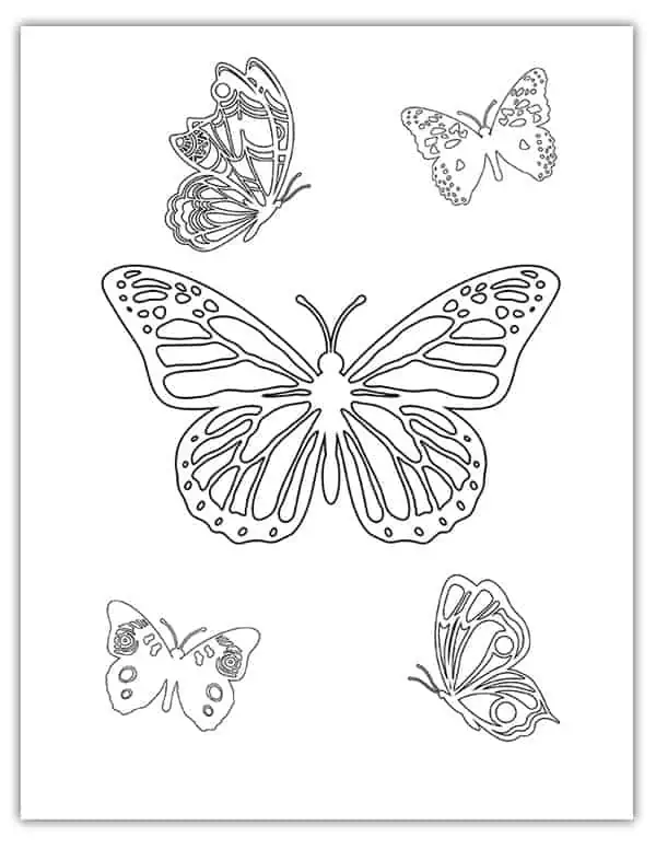 adorable butterfly designs