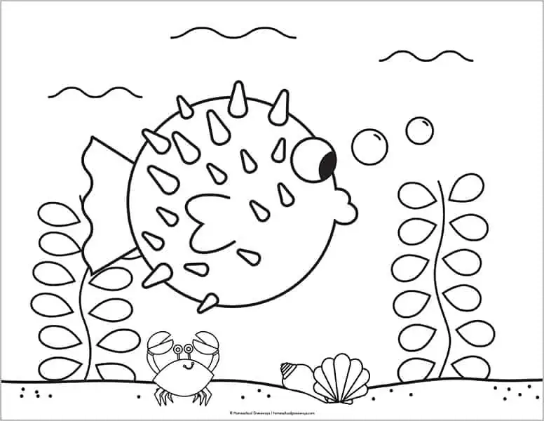 marine life coloring page