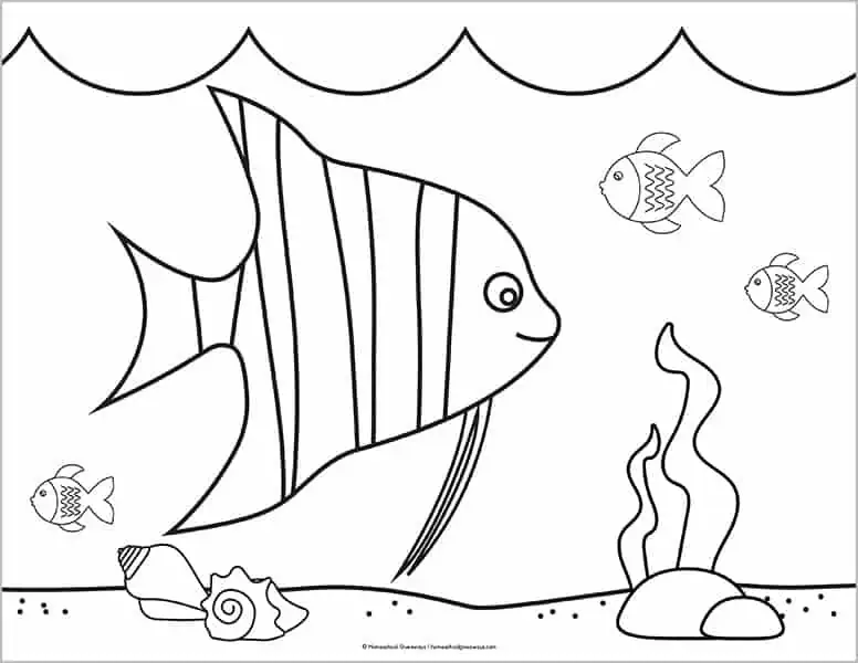 sea shells and fish coloring sheet